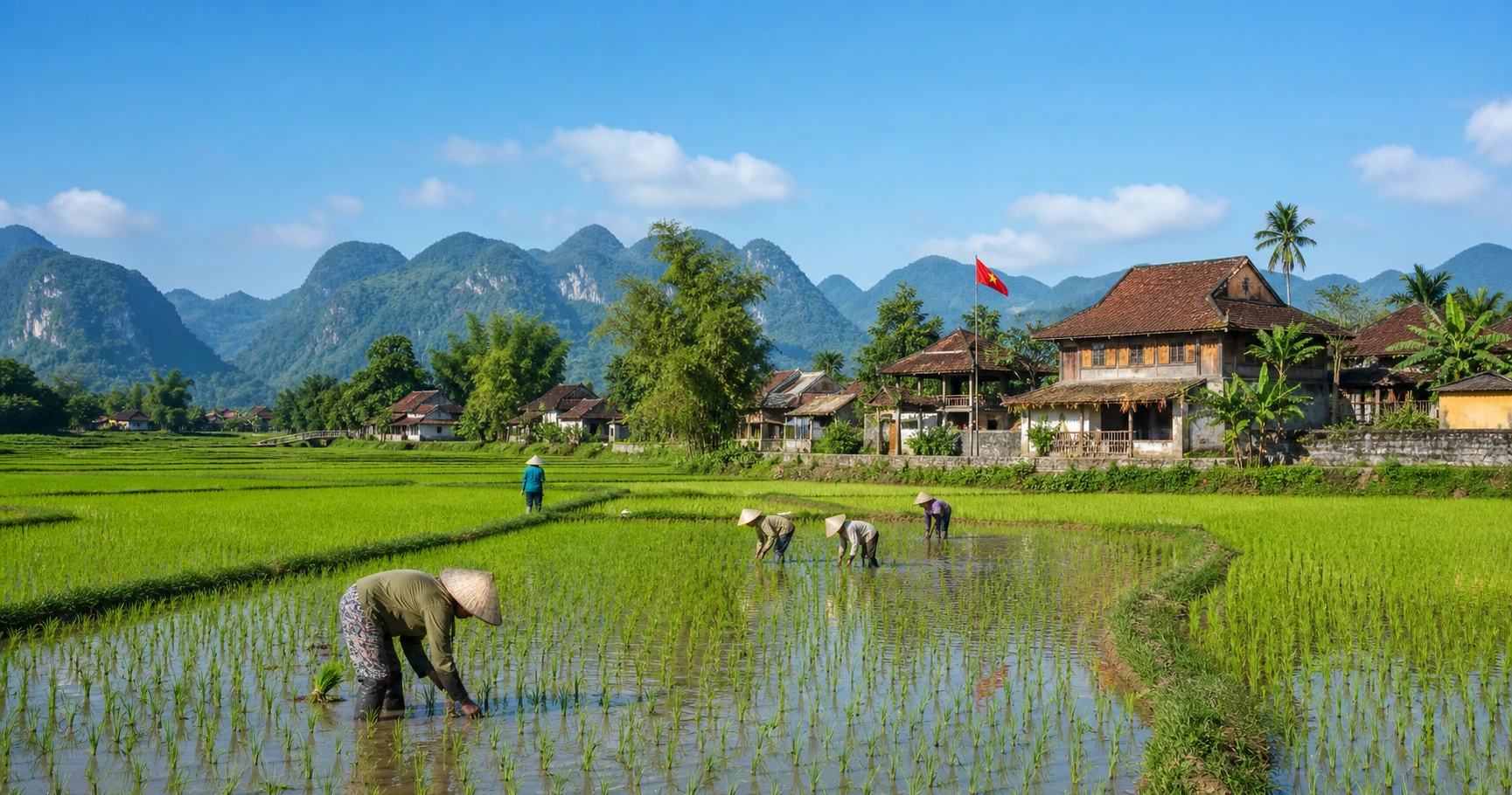 Các quy định về chuyển nhượng đất trồng lúa theo pháp luật Việt Nam - image 1 Các quy định về chuyển nhượng đất trồng lúa theo pháp luật Việt Nam - image 1